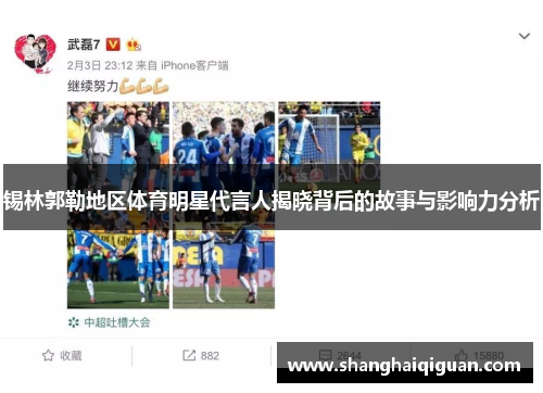 锡林郭勒地区体育明星代言人揭晓背后的故事与影响力分析